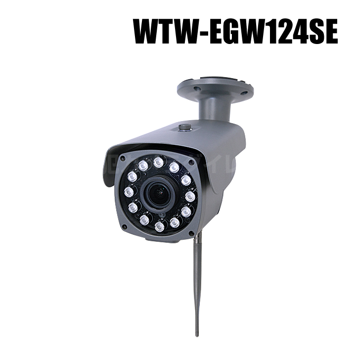 【WTW-EGW124SE】 365万画素 機器間Wi-Fi対応IPネットワークシリーズ 屋外仕様 防犯灯カメラ（代引不可・返品不可）