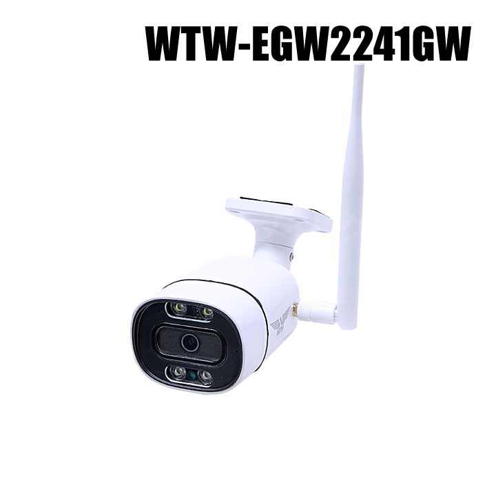 【WTW-EGW2241GW】 500万画素 機器間Wi-Fi対応IPネットワークシリーズ 屋外仕様 防犯灯カメラ（代引不可・返品不可）