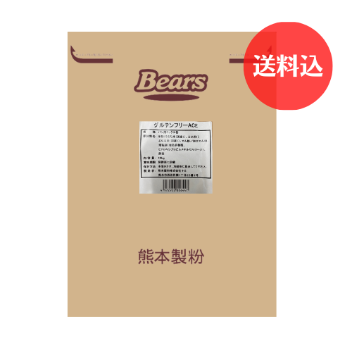 【送料込】《グルテンフリー成形パン用ミックス粉》 グルテンフリーACE 10Kg　