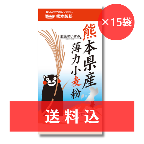 【送料込】 《熊本県産小麦 薄力小麦粉》　肥後のいずみ　800g x 15袋