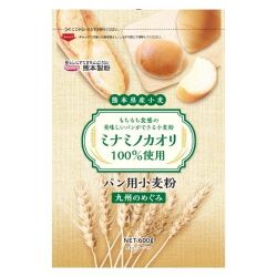 《熊本県産小麦 パン用粉》　九州のめぐみ 600g　