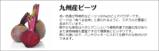 九州産原料100 九州ベジパウダー ビーツ 10g 九州産原料100 九州ベジパウダー ビーツ 10g