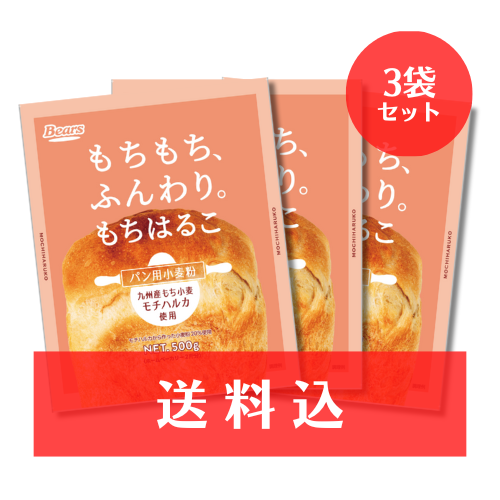 《九州産もち小麦使用 パン用粉》【送料込】もちはるこ 500g×3袋セット