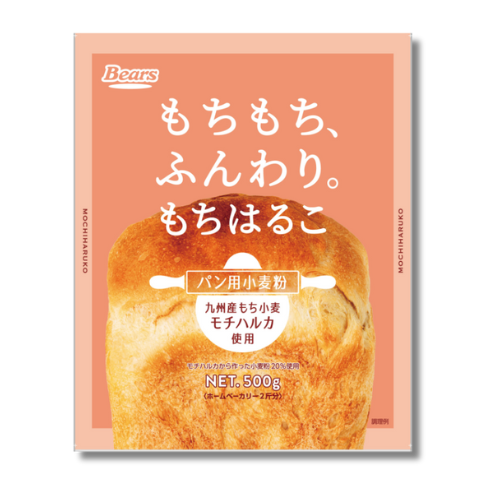 《九州産もち小麦使用 パン用粉》 もちはるこ 500g　