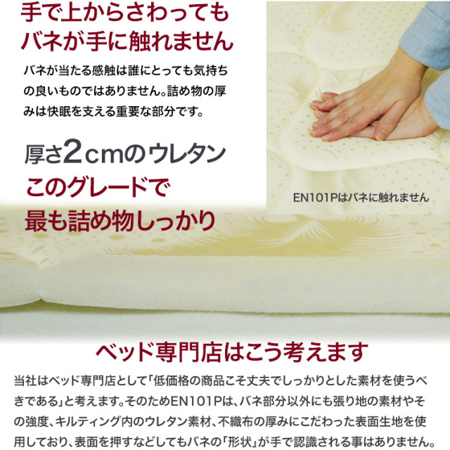 en101p