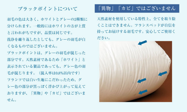 羽毛布団(2枚構造)　ダブル　フランスベッド まとめ買い特典 2枚ご購入で10%OFF】FranceBed（フランスベッド