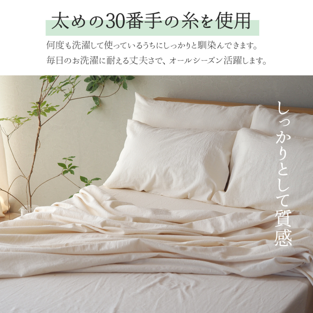 06シリーズ