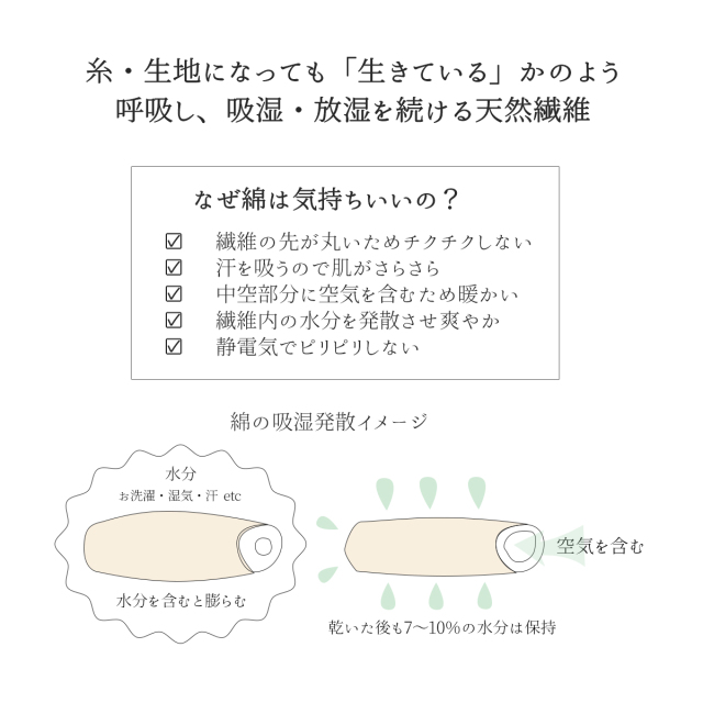 06シリーズ
