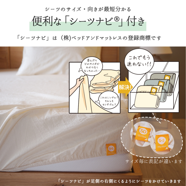 06シリーズ