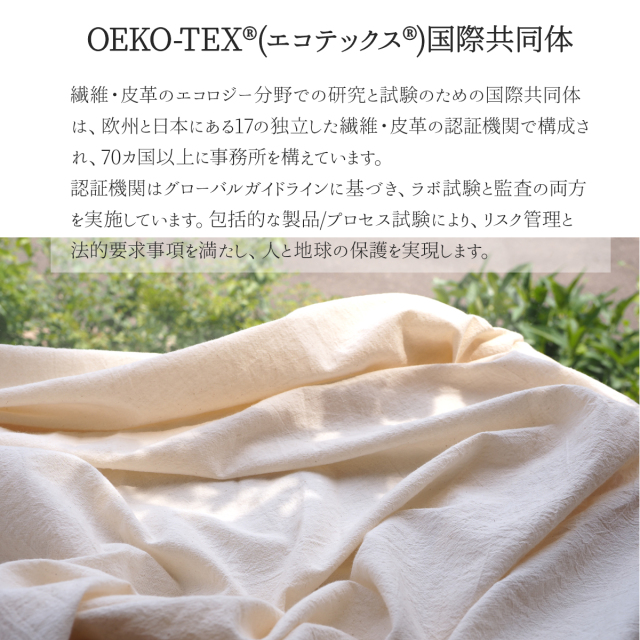 06シリーズ