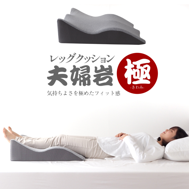 レッグクッション夫婦岩・極 ギフト プレゼント 低反発 炭入り 脚上げ 足上げ 背もたれ介護 洗濯 足元クッション プレゼント用 足枕 レッグピロー