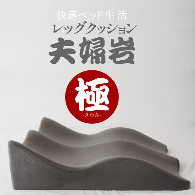 レッグクッション夫婦岩・極 ギフト プレゼント 低反発 炭入り
