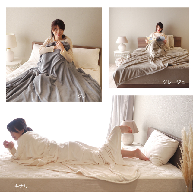 毛布 3種類から選べる 2枚合わせ 中綿入り毛布 ウォーム シングル