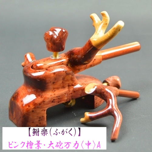 【鮒楽（ふがく）】ピンク檜葉・大砲万力（中）A