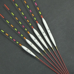 【昴】ジャストライト《浅棚用》