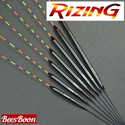 【ライジン】Dチョウチン（PC）