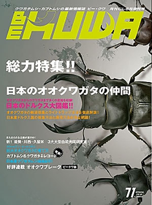 BE・KUWA71号 総力特集!! 日本のオオクワガタの仲間