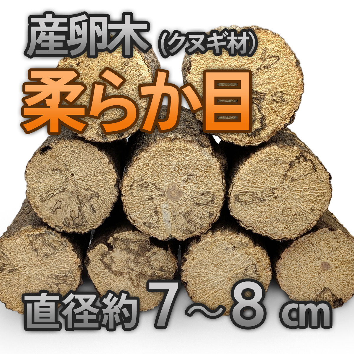 クヌギ　柔らかめ　産卵木　販売　通販　専門店　購入　ビートルファーム