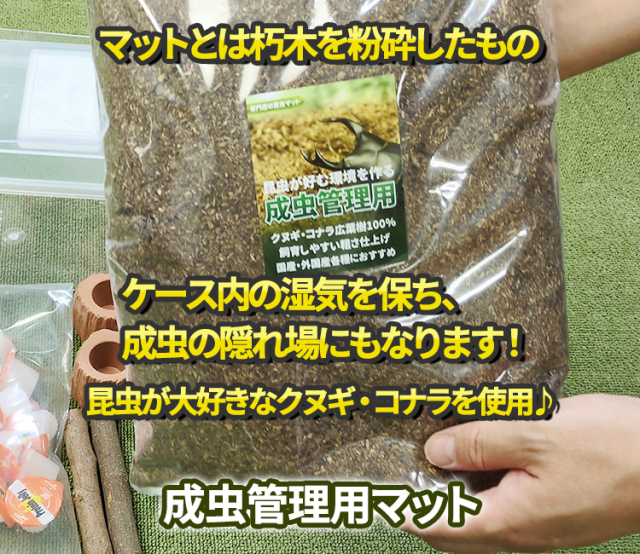 専門店厳選】はじめてでも簡単・安心! カブトムシ・クワガタ飼育 7点 専門店厳選】はじめてでも簡単・安心! カブトムシ・クワガタ飼育 7点