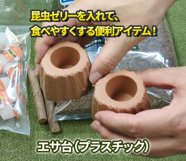 専門店厳選】はじめてでも簡単・安心！ カブトムシ・クワガタ飼育 7点