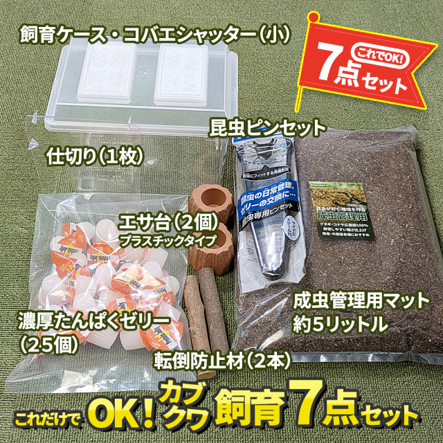 カブトムシ・クワガタムシ成虫飼育セット　販売　通販　専門店　購入