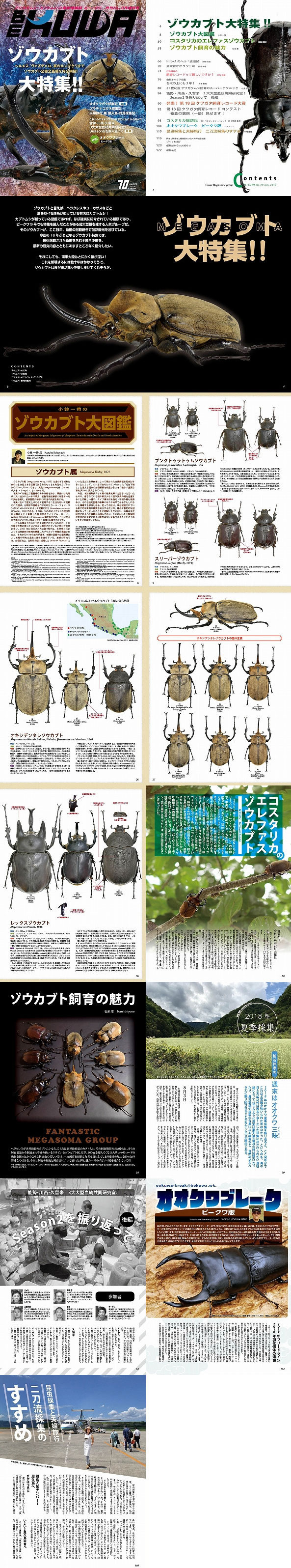 BE・KUWA70号 ゾウカブト大特集!！！