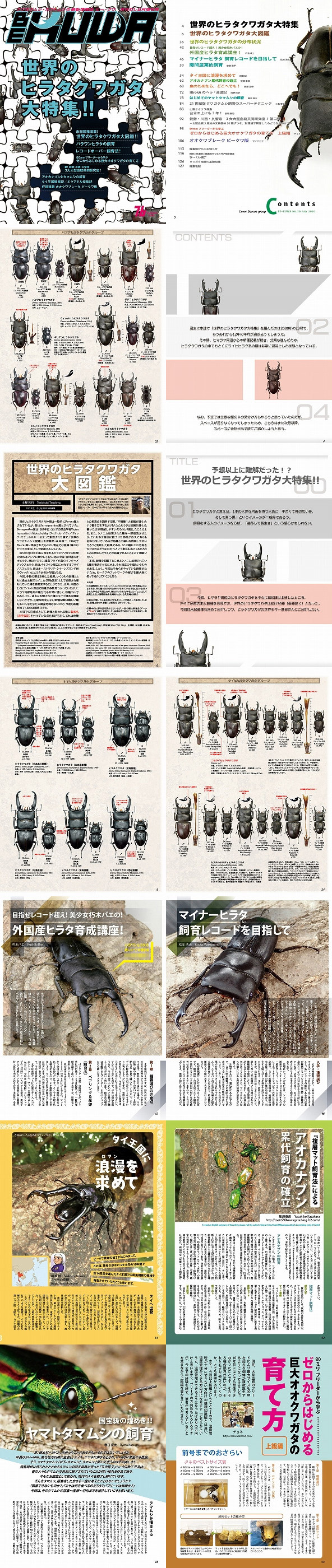BE・KUWA76号