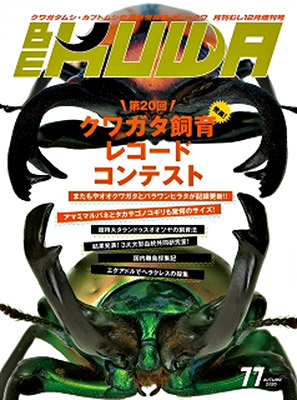 BE・KUWA77号 第20回クワガタ飼育レコードコンテスト