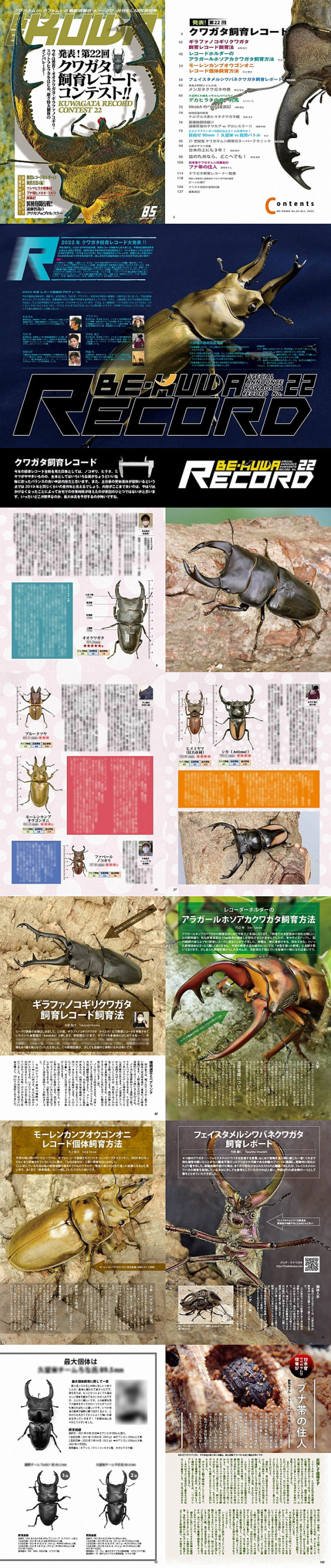 BE・KUWA85号　販売　通販　専門店　購入