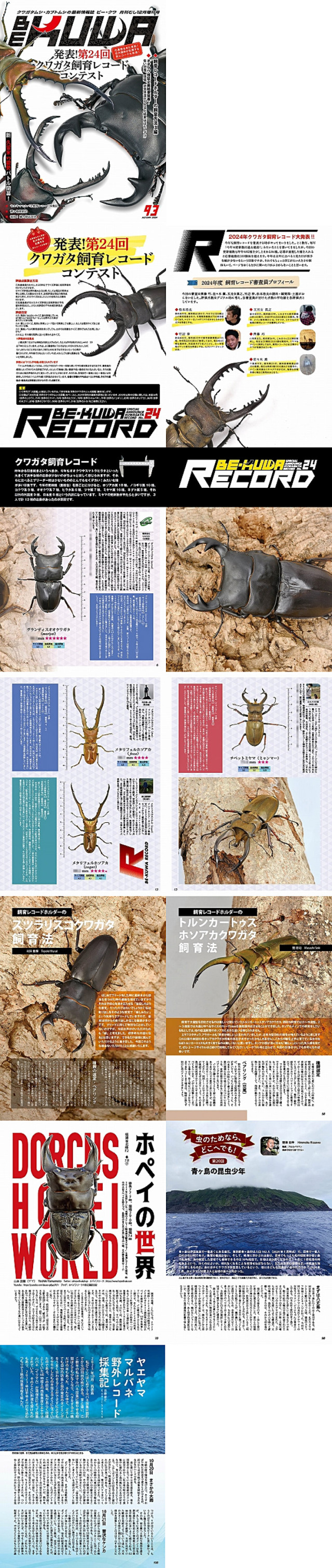 BE・KUWA93号 第24回クワガタ飼育レコードコンテスト 販売ページ