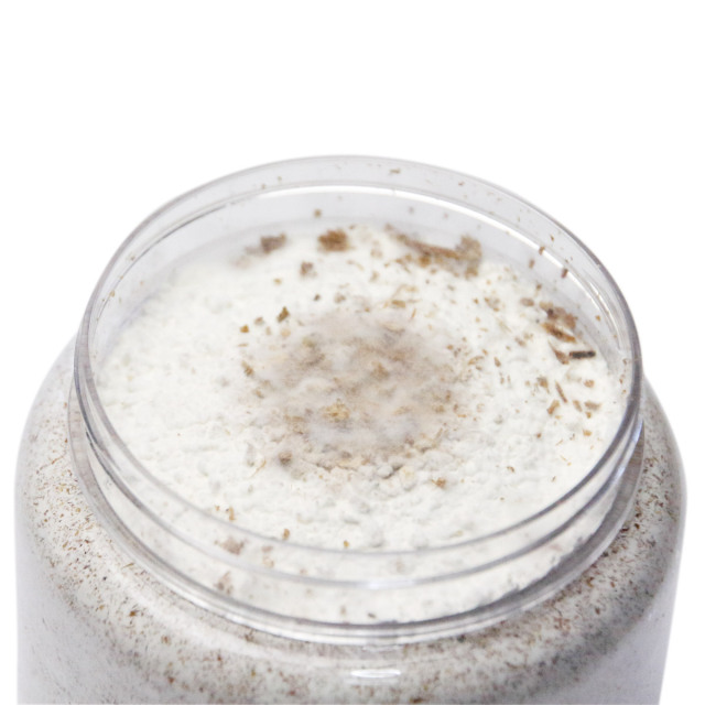 大夢Bプロスペック500㏄・寒茸（カンタケ）　販売　通販　専門店　購入