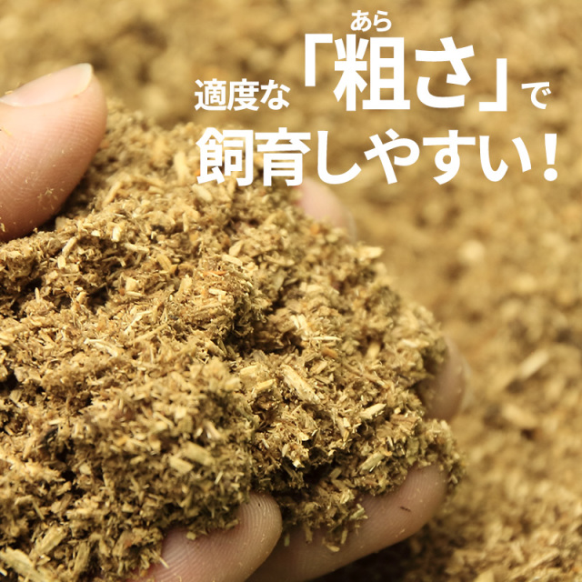 昆虫マット・成虫用マット kassu クワガタ・カブトムシ用の成虫管理用マットの販売・通販│ビートルファーム