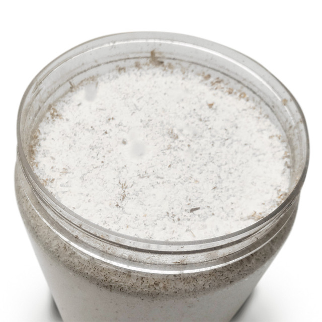 菌糸ビン　大夢プロスペック　寒茸（カンタケ）　販売　通販　専門店　購入