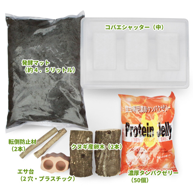クワガタ産卵セット（マット産み用）【ヒラタ・ノコギリ等の産卵に！】
