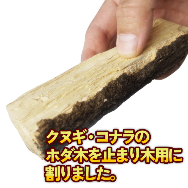 止まり木　転倒防止材　カブトムシ　クワガタムシ　販売　通販　専門店　購入