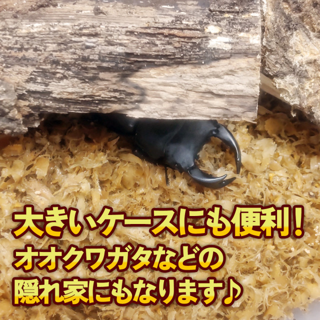 止まり木　転倒防止材　カブトムシ　クワガタムシ　販売　通販　専門店　購入