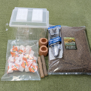 オオクワガタ・クワガタ・カブトムシの飼育用品の販売・通販│ビートル
