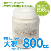 菌糸ビン　大夢プロスペックA　寒茸（カンタケ）　販売　通販　専門店　購入