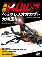 くわがたマガジン15冊まとめブルーヘラクレス系特集昆虫雑誌 カブトムシ クワガタ くわがたマガジン15冊まとめブルーヘラクレス系特集昆虫雑誌