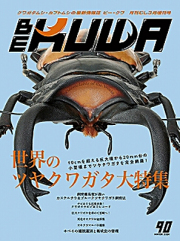 クワガタ・カブトムシの昆虫雑誌・書籍の販売・通販│ビートルファーム