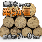 クヌギ　柔らかめ　産卵木　販売　通販　専門店　購入　ビートルファーム