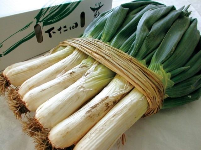 下仁田ネギ・1箱約20本入り（送料無料）税率8%