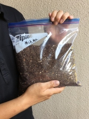 挿し木用土
