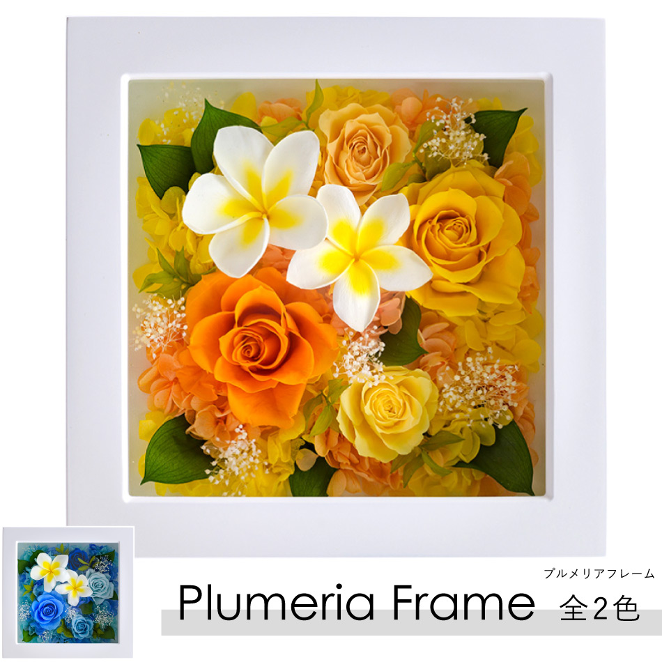 ☆プリザーブドフラワー花材 ‪✿‬プルメリア‪✿造花︎✿ミニ‬ 