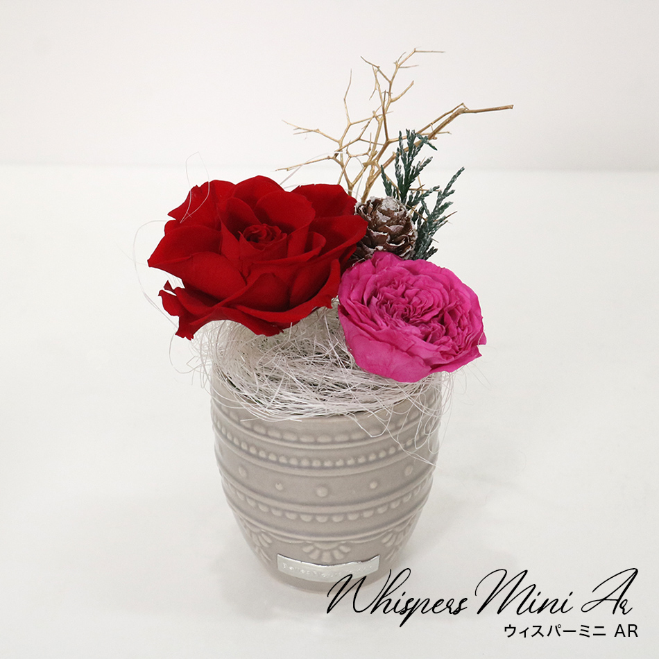 ウィスパー ミニAR