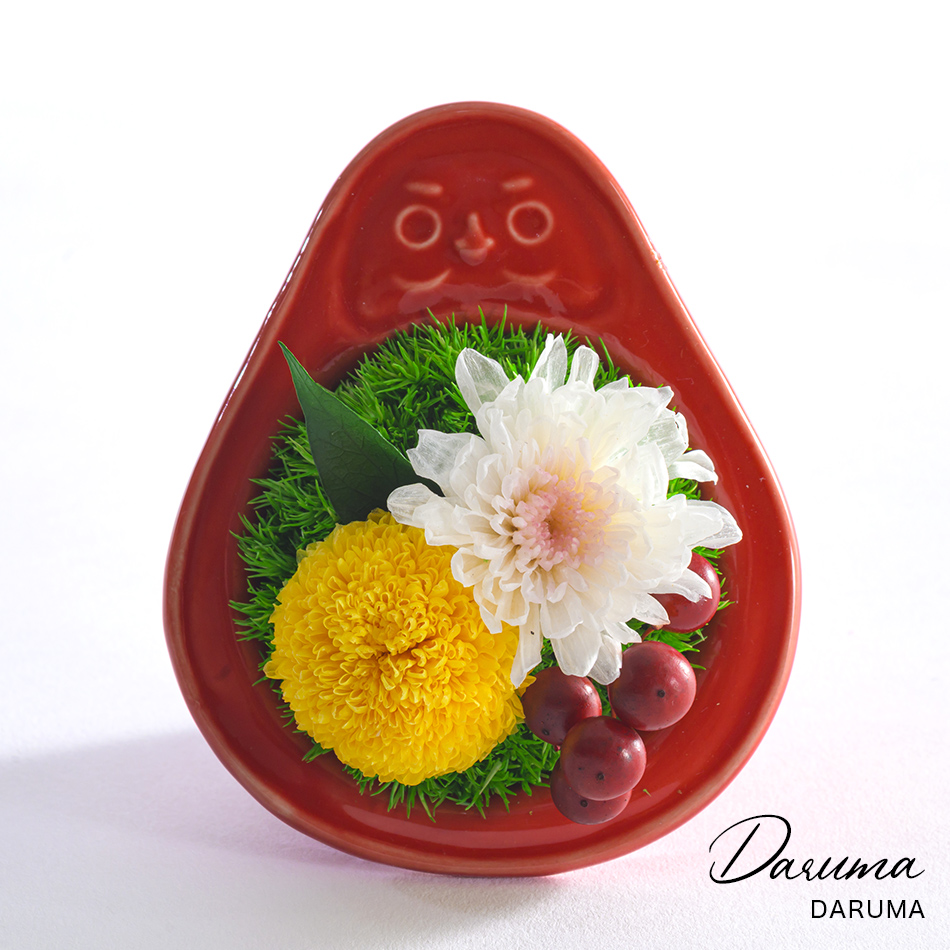 「迎春 − DARUMA」プリザーブドフラワー