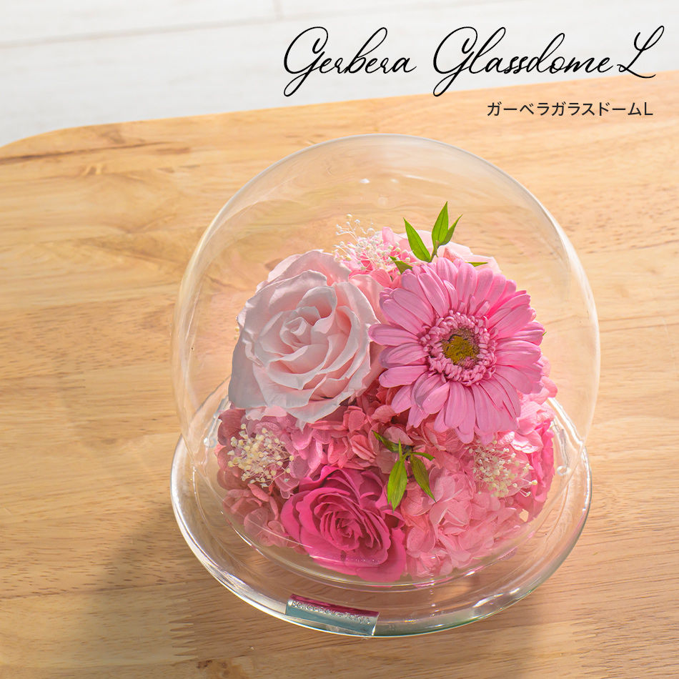 ガーベラのガラスドームL