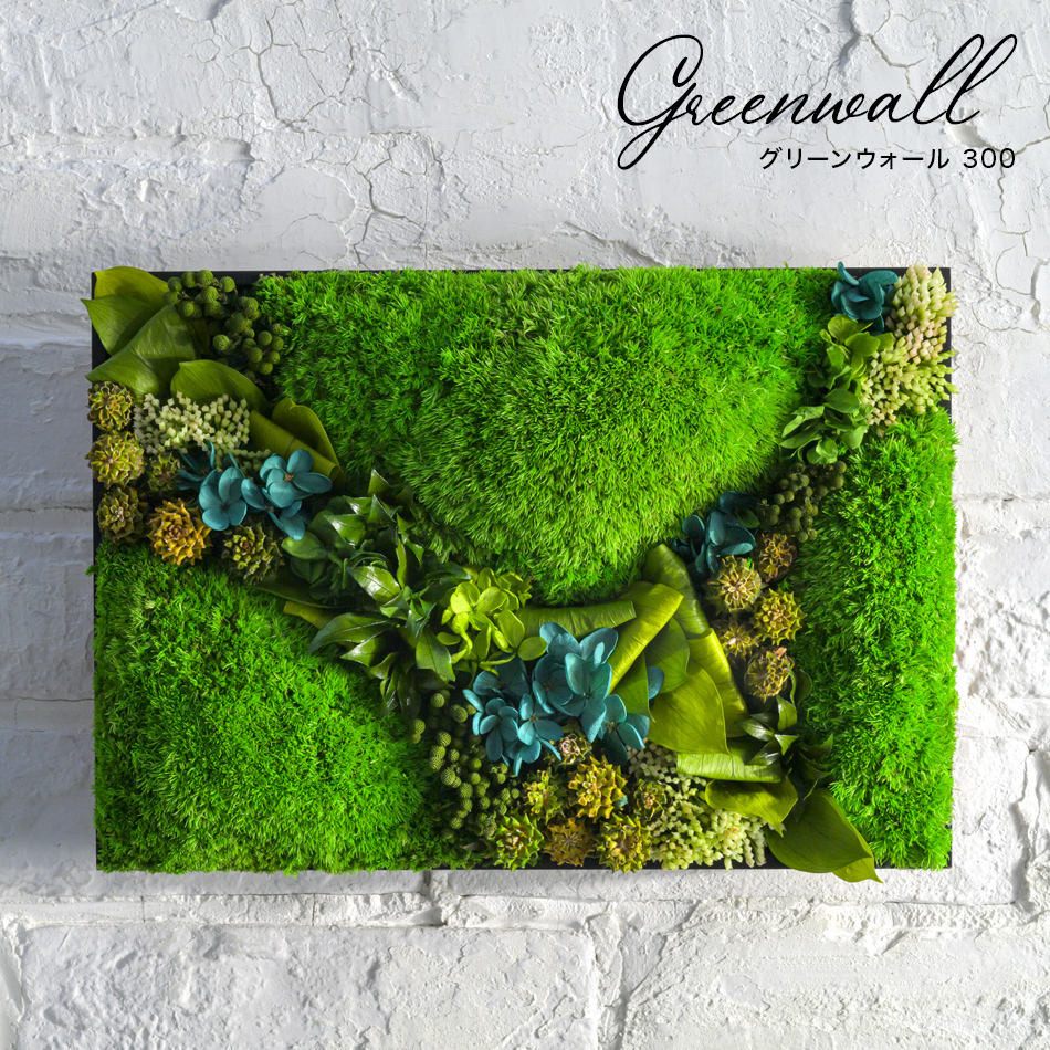 グリーンウォール【300】