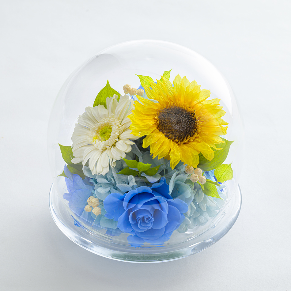 ひまわりガラスドームL ブルー