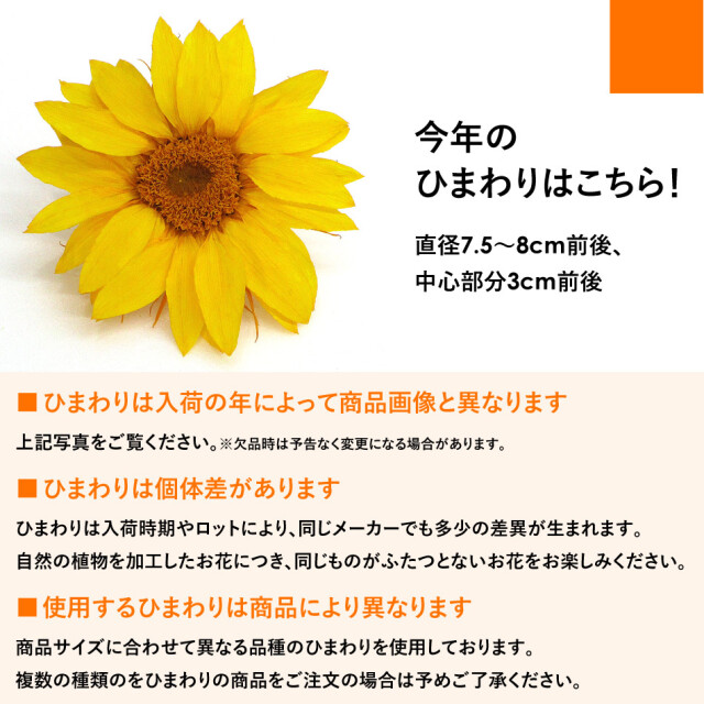 向日葵様専用 | activoskateshop.com